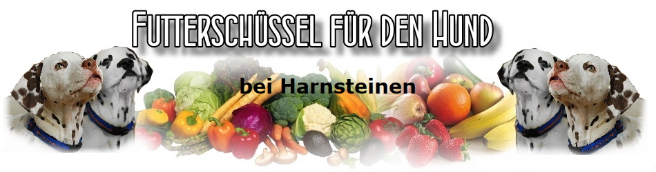 bei Harnsteinen
